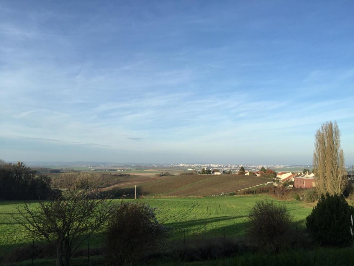 Villa Reims Epernay Champagne Vineyard Villers-Allerand Zewnętrze zdjęcie