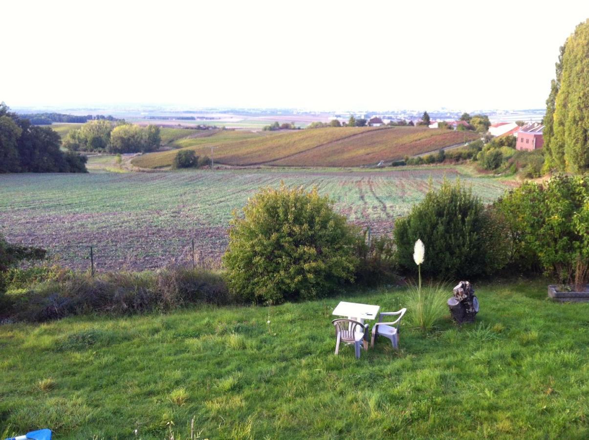 Villa Reims Epernay Champagne Vineyard Villers-Allerand Zewnętrze zdjęcie
